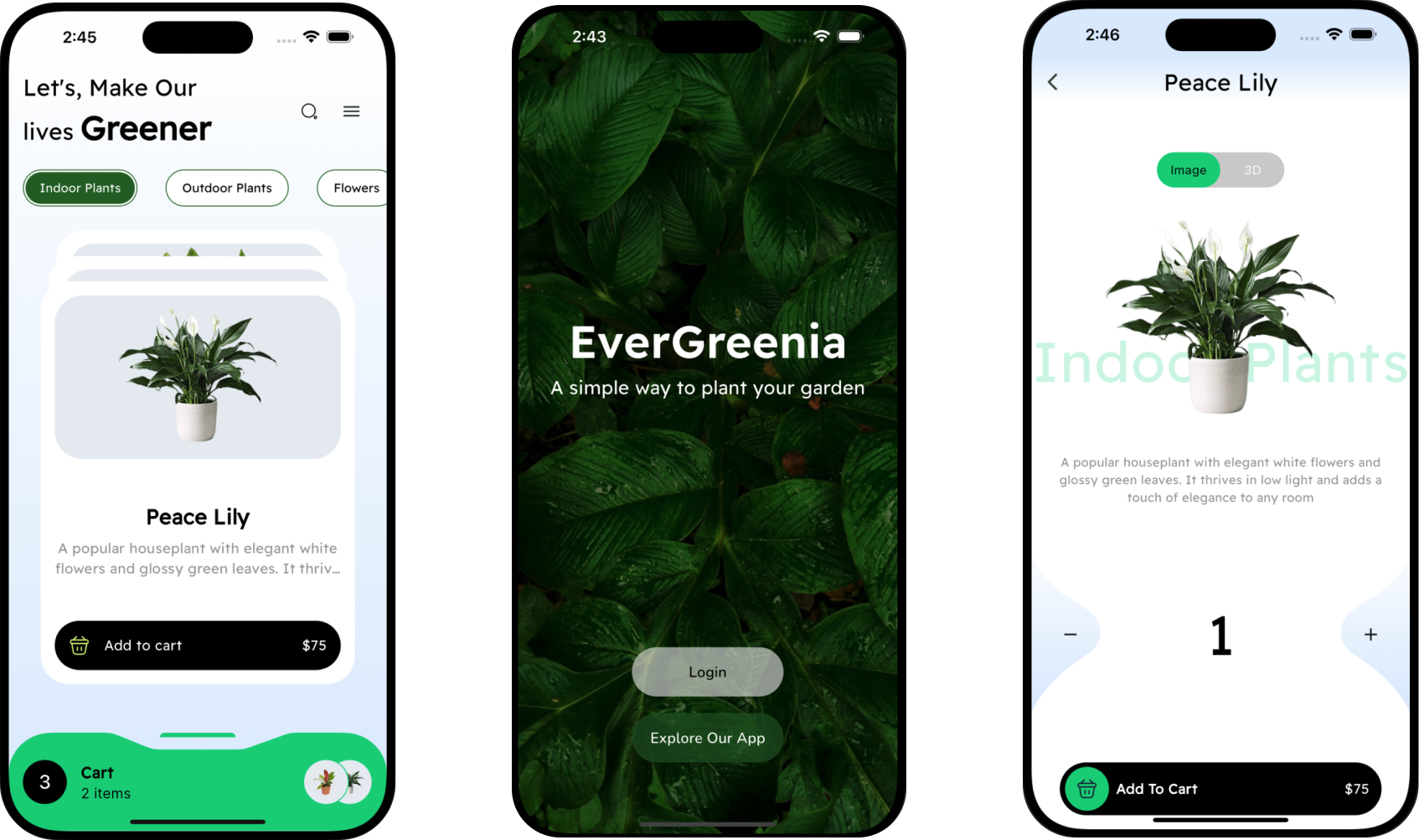 Evergreenia